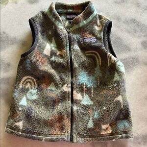 Patagonia Synchilla Fleece Vest in Earth Tones